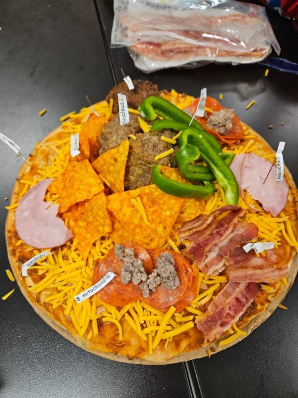 Live Feed Lennox School District